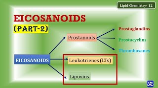 12 Eicosanoids part 2 Leukotrienes Lipoxins  Lipid Chemistry12  Biochemistry [upl. by Htebi]