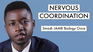 JAMB Biology CBT Tutorial 2024 Questions On Nervous Coordination Top 20 [upl. by Mattheus]