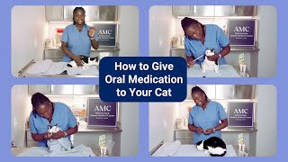 How to Give a Pill to Your Cat [upl. by Nosreve]