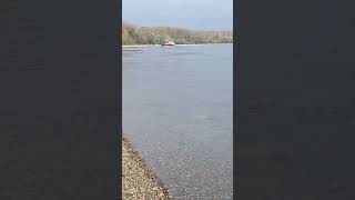 ein schiff mit Bak fährt zu Berg auf dem rhein Teil 1 shortsvideo shorts [upl. by Pineda]