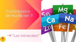 ✅ Curso BÁSICO DE NUTRICIÓN quotGRATISquot Capítulo 7 🍅🥝🍍 [upl. by Alegnave639]