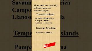 Grasslands of the world NCERTGeography Tropical Grasslands Temperate grassland [upl. by Maclaine]