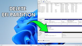 How To Delete or Remove EFI System Partition on Windows 1110 [upl. by Ailemrac]