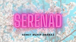 AHMET MUHİP DIRANAS  SERENAD [upl. by Binnie127]