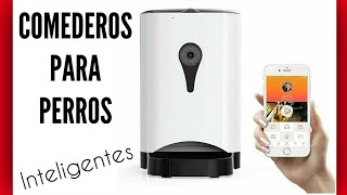 ≫ Comederos para Perros automáticos → Dispensador de Comida para perros Inteligente en Amazon 2020🥇 [upl. by Manuela]