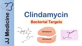 Clindamycin  Bacterial Targets Mechanism of Action Adverse Effects [upl. by Cordy352]