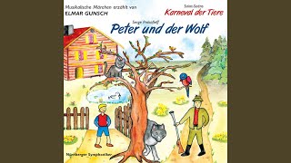 Peter und der Wolf  Der Vogel und die Ente [upl. by Eikceb]