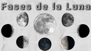 Fases de la Luna  Explicación Detallada [upl. by Iron]