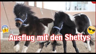 Lenispferdewelt  Ausflug mit den Shettys♥ [upl. by Velasco785]