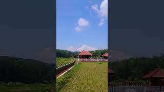 WiihhRumah nyentrik tengah sawah Cu [upl. by Ahsietal]