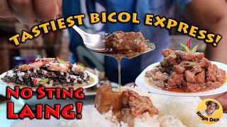 Best Bicol Express and Laing Recipe HD [upl. by Bahner]