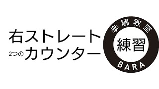 【同時】カウンターの練習方法【クロス】 [upl. by Ranitta416]