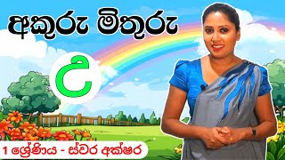 අකුරු මතක තියාගන්න ලේසිම ක්‍රම සමග ඉගෙන ගමු Sinhala letters for kids [upl. by Yrekcaz596]