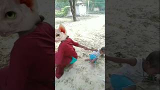 🍚🍚😸😸🤣Lalla lalla lori dudu ki katori🤣🤪💥🤑😍😸😸😸🐱💞🤣tranding funny song shortsvideo [upl. by Nwahsed553]