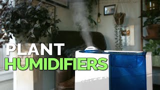 How to Use a Humidifier for Your Houseplants 💦🌱 [upl. by Adnawyek]