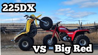 Honda ATC Big Red 250 Vs Yamaha 225DX 3 Wheeler Race [upl. by Eidissac]