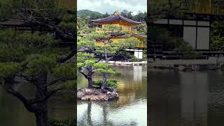 Kinkakuji templekyoto goldentemple [upl. by Trebmal]