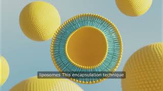 Unleash the Potential of Liposomal Vitamin C for Your Health [upl. by Elwood558]