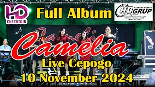 FULL CAMELIA MUSIC  KHITAN HANNGIS  10 NOVEMBER 2024 CEPOGO [upl. by Netsyrk]