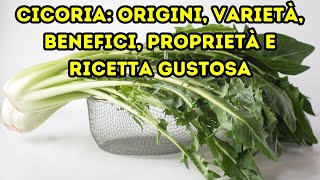 Cicoria Origini Varietà Benefici Proprietà e Ricetta Gustosa [upl. by Meggy310]