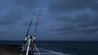 🔴 Sea Fishing UK  Selsey East Beach 1 Doggie 🔴 [upl. by Nydnarb247]