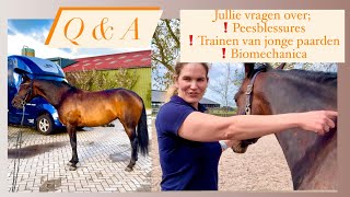 QampA MET PAARDENDIERENARTS AMBER KOPPEN 🔥  FLO WORDT BEHANDELD 😱VOG75 [upl. by Frederik934]