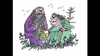 The Twits By Roald Dahl  Audiobook Read By Roger Blake [upl. by Aisset155]