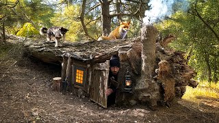 Building a Secret Shelter Under a Fallen Tree for Survival  Tamed a wild fox [upl. by Siurtemed]