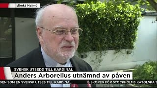 Arborelius quotVar en smärre chockquot  Nyheterna TV4 [upl. by Zebe]