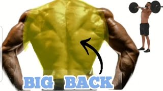 6 Big Back Exercises backworkout workouthome back workout [upl. by Fu316]