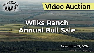 Wilks Ranch Annual Bull Sale [upl. by Aday]