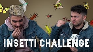 MADE IN INSETTI CHALLENGE  Matt amp Bise [upl. by Him306]