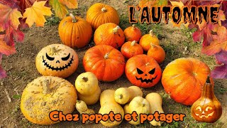 RÉCOLTES DAUTOMNE AU POTAGER [upl. by Fisuoy]