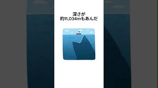 シロナガスクジラは、ゾウ何頭分の体重があるか知ってた？？ ランキング 雑学 豆知識 ランキング雑学 [upl. by Notsag631]