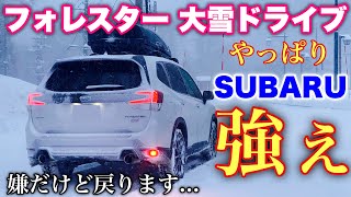 スバル フォレスター STI SPORT 大雪警報の三国峠を激走！スバル車の凄みはココにあり！SUBARU FORESTER Snow Drive [upl. by Justine]