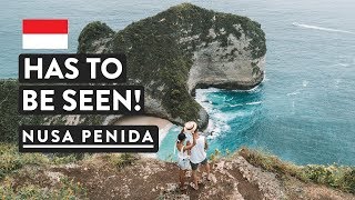 HIGHLIGHT OF BALI  TRex Kelingking Beach Nusa Penida  Bali Travel Vlog [upl. by Nnayllek844]