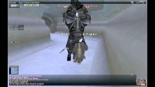 FFXI Divine Might PLD Solo [upl. by Ydiarf]