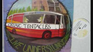 Ozric Tentacles  Erpland live 1991wmv [upl. by Ssilem]