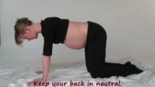 Pregnancy Core Exercise [upl. by Bannon]