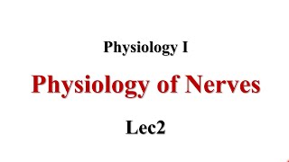 Resting Membrane Potential RMP Lec2 Physiology I [upl. by Petrine281]