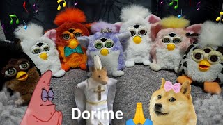 Dorime Ameno Meme 🐭 Furby babies e Furby buddies Dançando e Cantando [upl. by Bear]