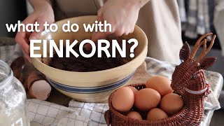 MustHave Einkorn Recipes [upl. by Croydon]