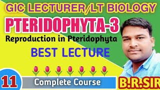 Reproduction in Pteridophyta  LTGIC Lecturer Biology Best Online Class  Biology Zone [upl. by Arikehs868]