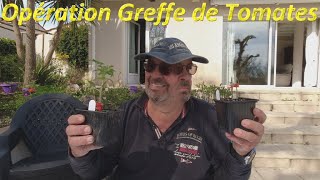 Opération Greffe de Tomates [upl. by Abernathy]