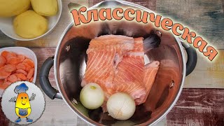 Домашняя уха из красной рыбы  классический рецепт Как сварить уху из рыбы вкусно [upl. by Aerdnac597]