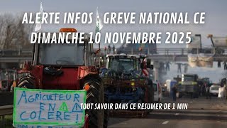 ALERTE INFOS  LE POINT SUR LA GREVE DU 10 NOVEMBRE 2024 manifestation france grève [upl. by Dulce899]