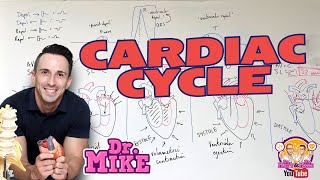 Cardiac Cycle [upl. by Valina]