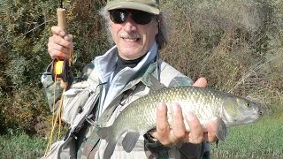 PESCA A MOSCA LANCIO BASE VARIANTE DI ROLL CAST quot SWITC CAST [upl. by Nyrehtac]