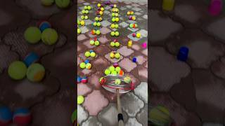 🎾Tennis Ball Collector The MustHave Tool for Every Player smalleyes singlestrike ultrapro [upl. by Weixel]