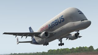 iniBuilds Airbus A300600ST Beluga  REAL 737 Captain LIVE  XPlane 11 [upl. by Aihsakal]